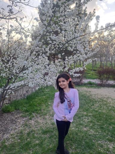 عکس پارک مشروطه