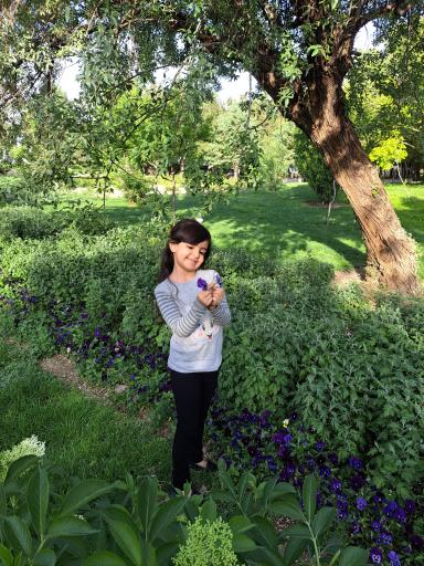 عکس پارک مشروطه