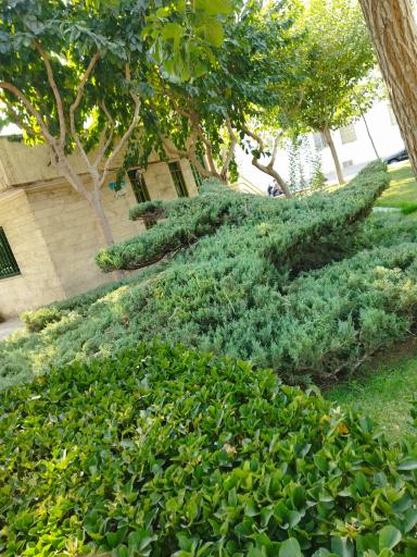 عکس پارک فاتح