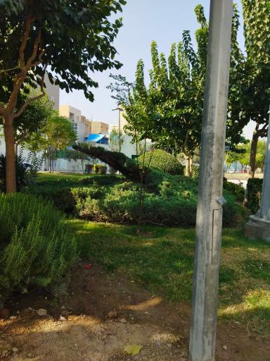 عکس پارک فاتح