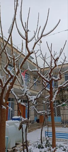 عکس مدرسه علمیه آیت الله بهجت ره