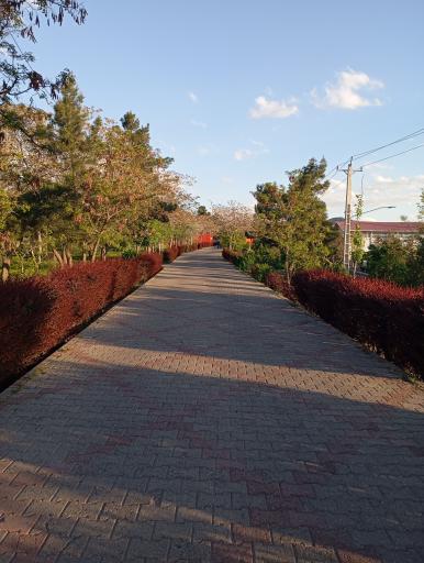 عکس پارک مشروطه