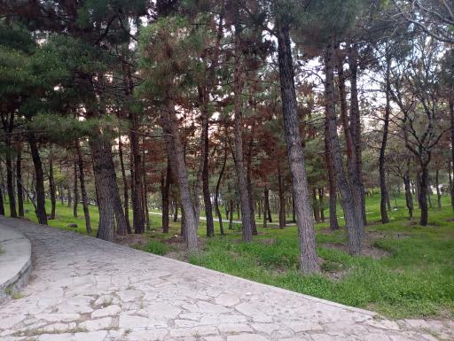 عکس پارک مشروطه