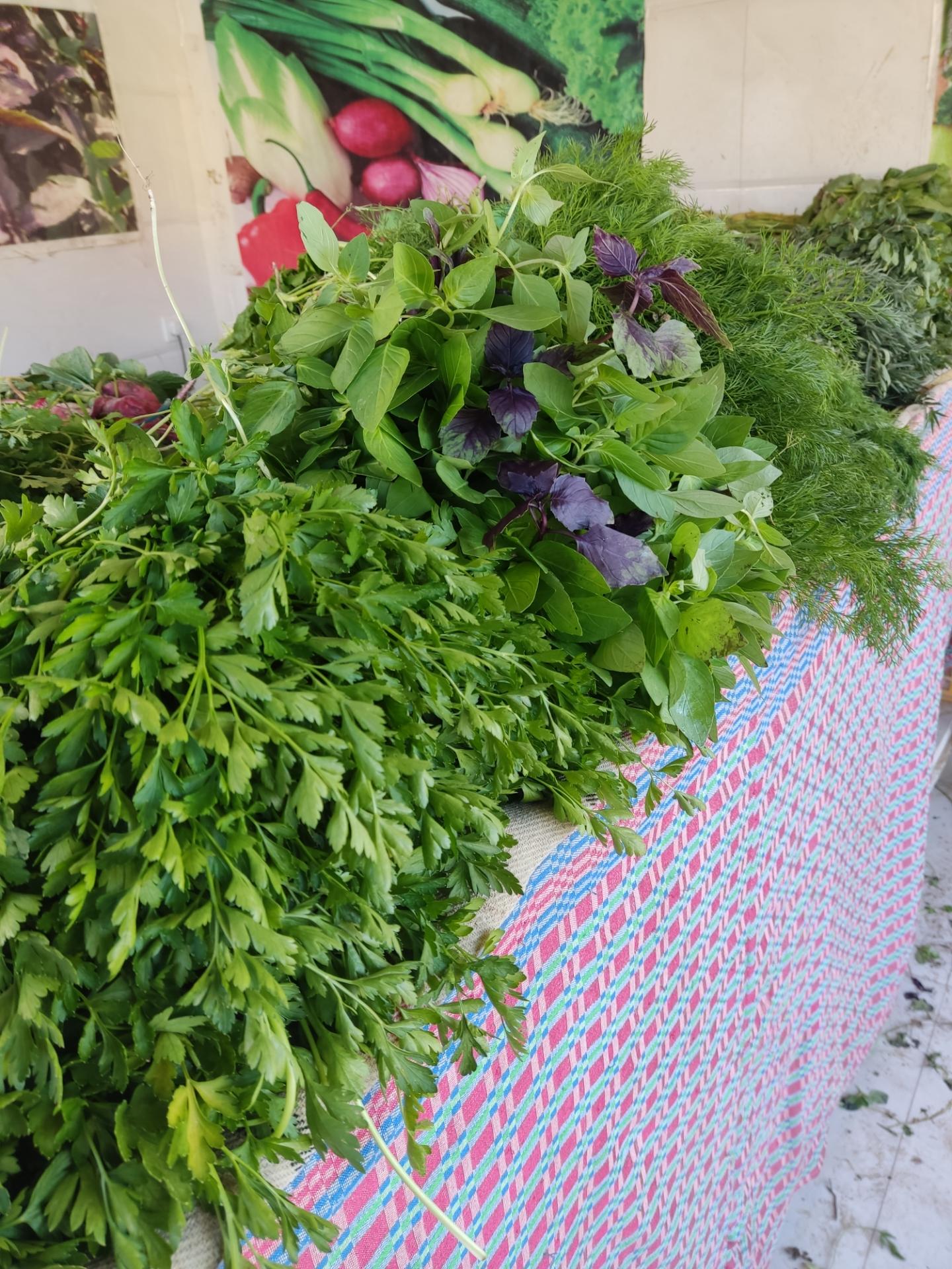 عکس سبزی فروشی سیف الله رضایی