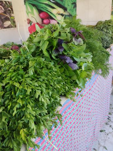 عکس سبزی فروشی سیف الله رضایی