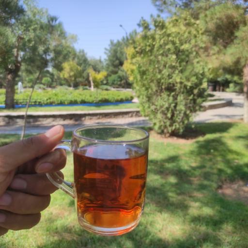 عکس پارک مشروطه