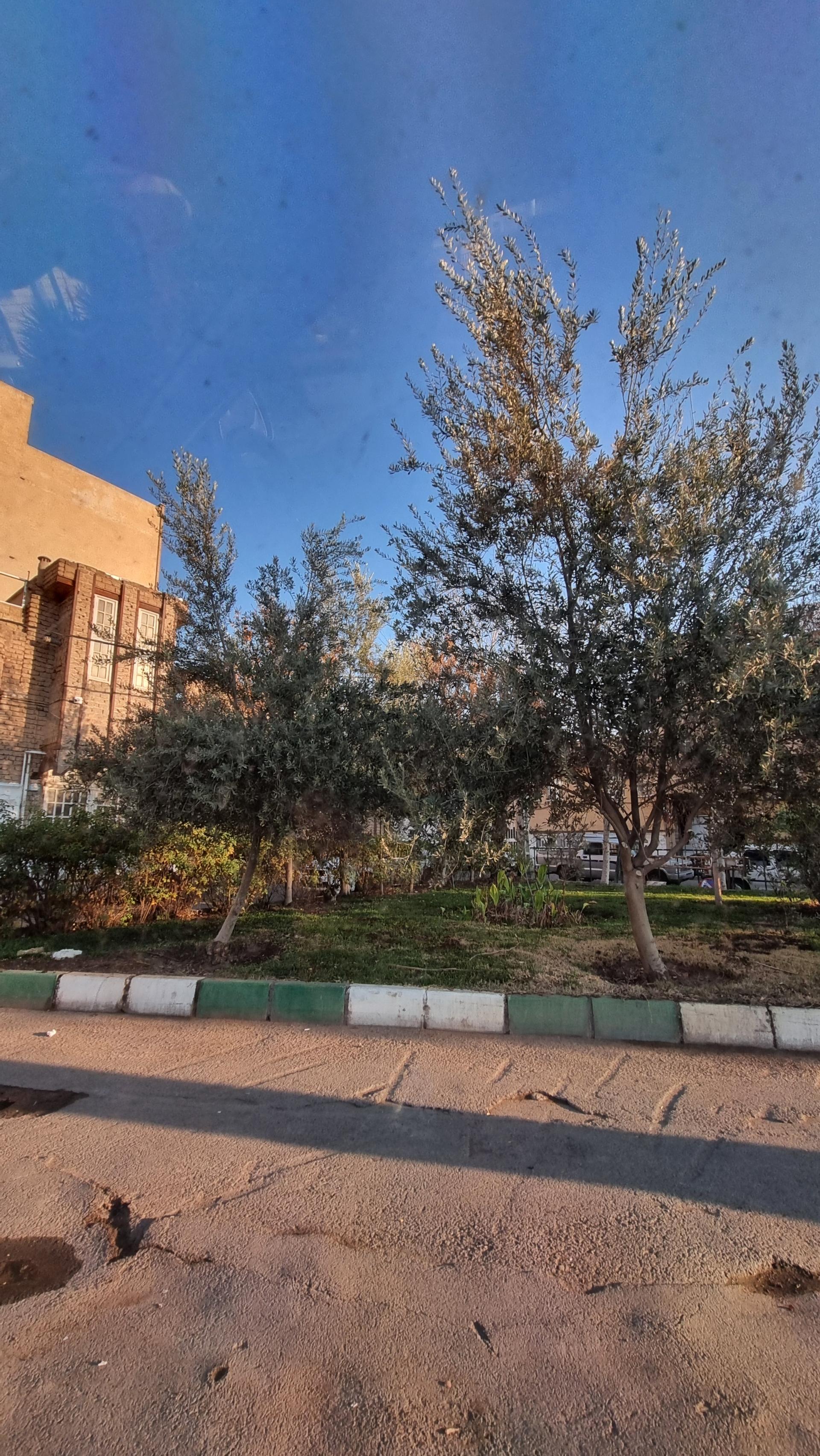 عکس فضای سبز