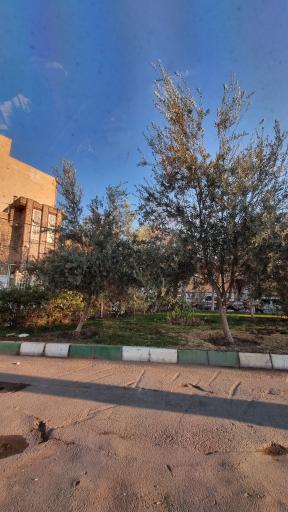 عکس فضای سبز