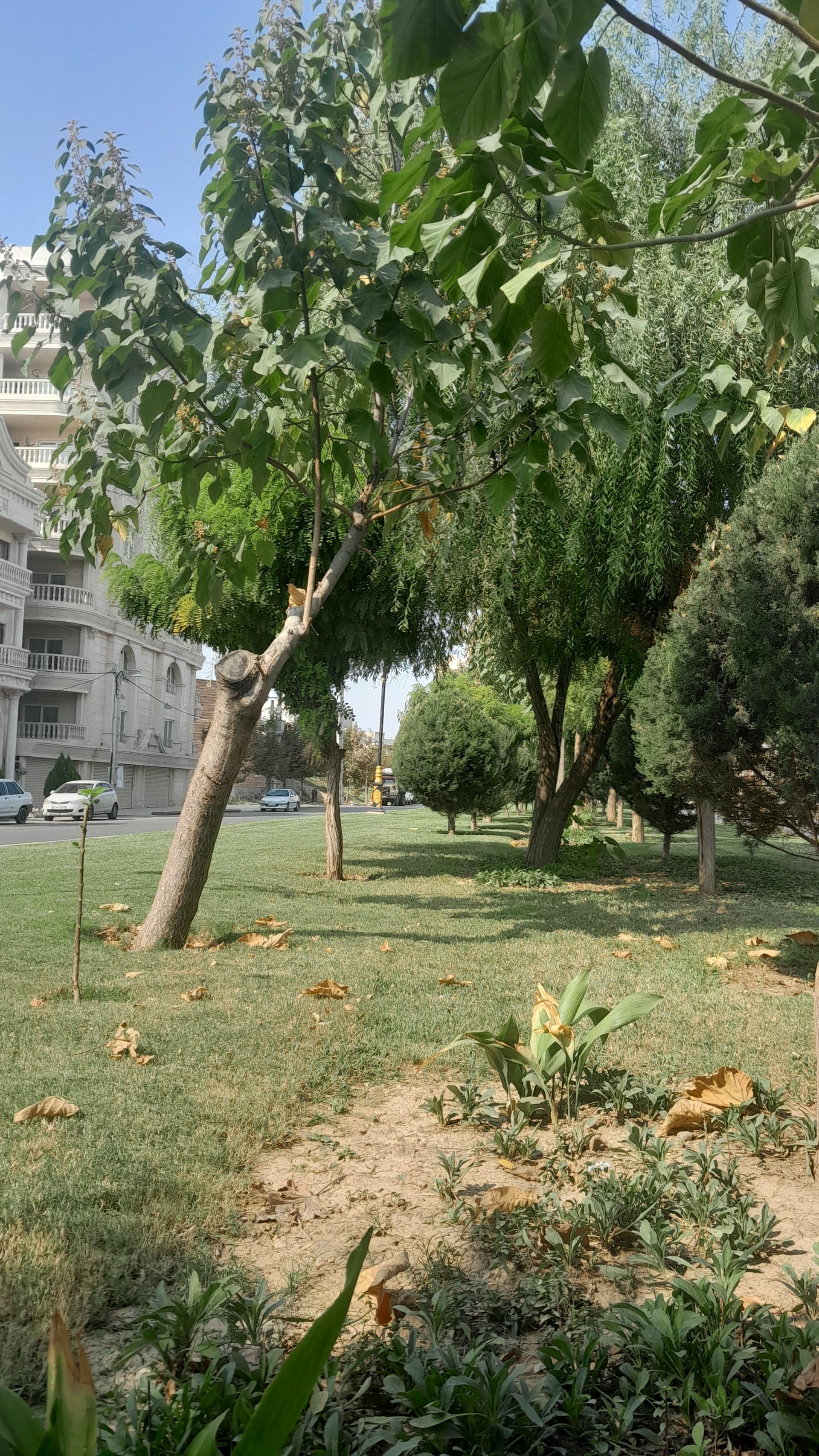 عکس پارک بوستان مادر