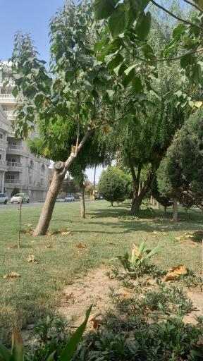 عکس پارک بوستان مادر