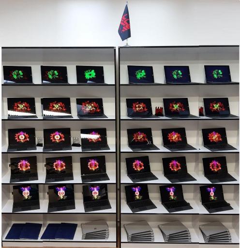 عکس پاساریا