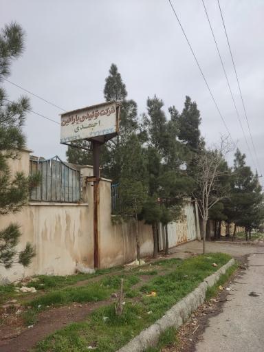 عکس پارافین احمدی