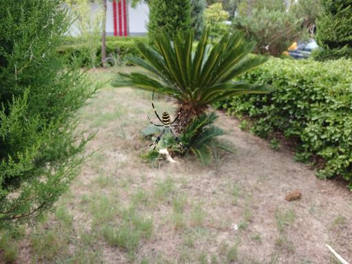 عکس باغ پرندگان و باغ وحش هدهد مجتمع کوثر