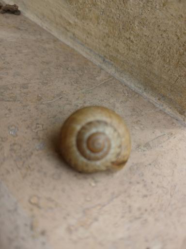 عکس باغ پرندگان و باغ وحش هدهد مجتمع کوثر