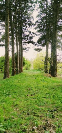 عکس مجتمع فرهنگی اردویی کشوری شهید رجایی نیشابور