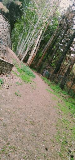 عکس مجتمع فرهنگی اردویی کشوری شهید رجایی نیشابور