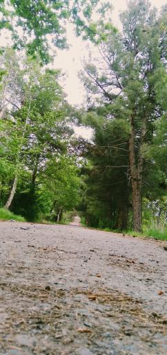 عکس مجتمع فرهنگی اردویی کشوری شهید رجایی نیشابور