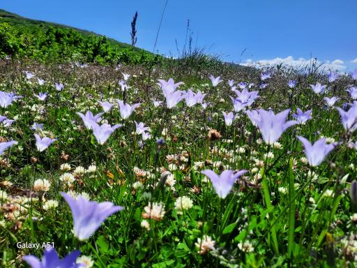 عکس منطقه گردشگری ازناو