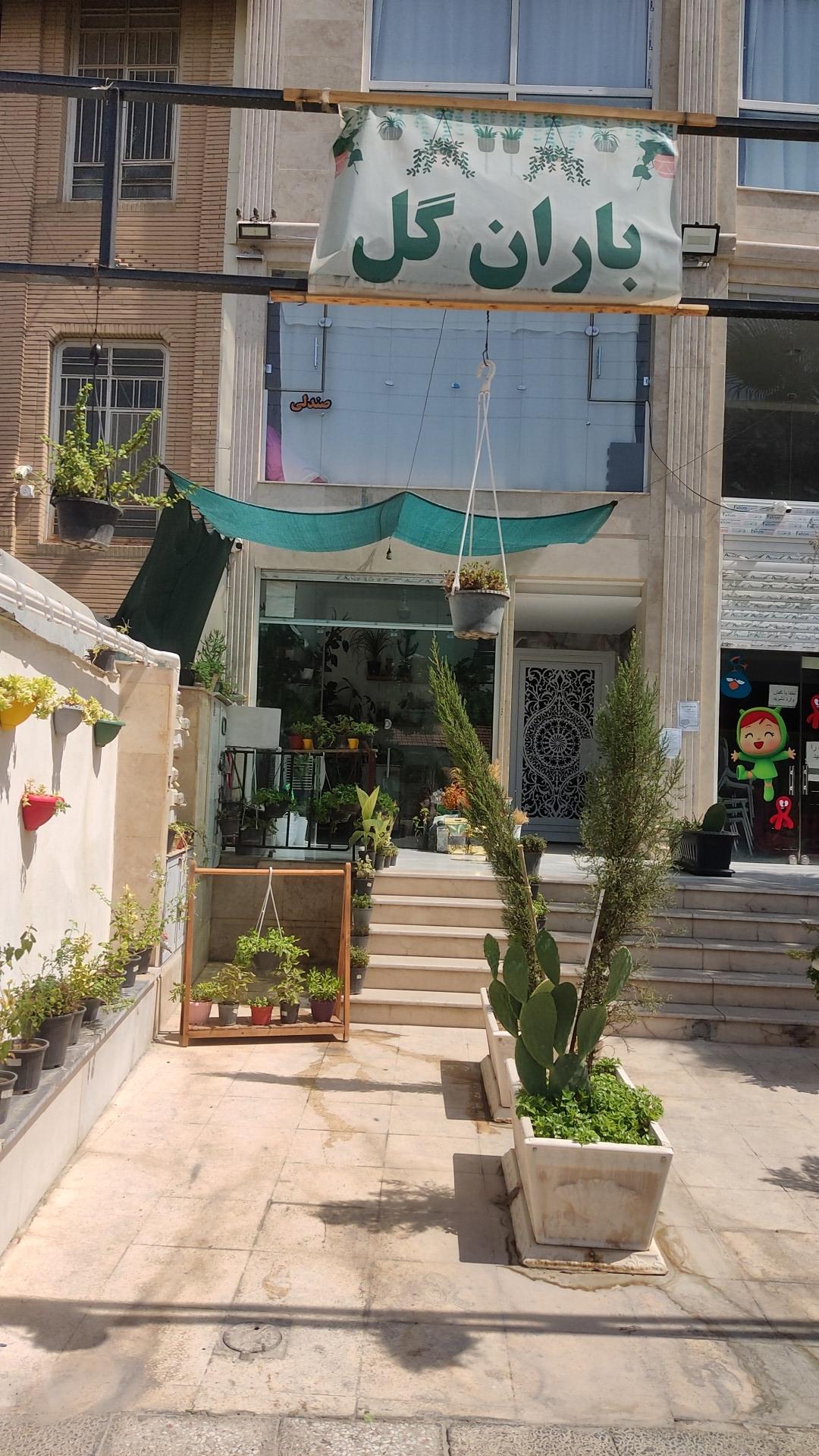 عکس باران گل 