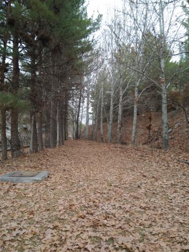 عکس مجتمع فرهنگی اردویی کشوری شهید رجایی نیشابور