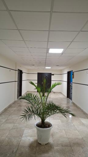 عکس پردیس رشد ایرانیان