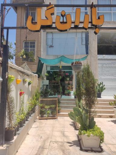 عکس باران گل 