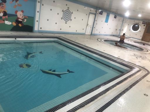 عکس استخر ارم ماهدشت کرج