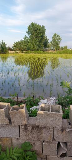 عکس آب بندان اهلم