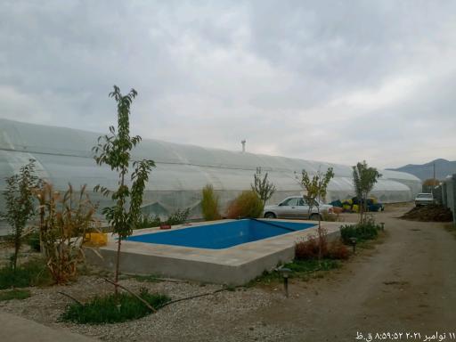 عکس گلخانه علی دماوندی 
