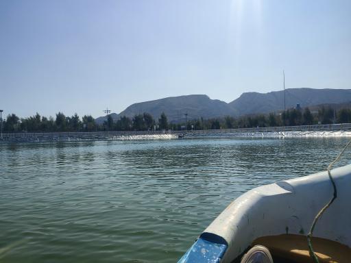 عکس دریاچه جوان