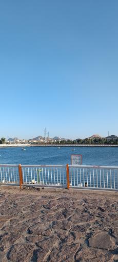 عکس دریاچه جوان