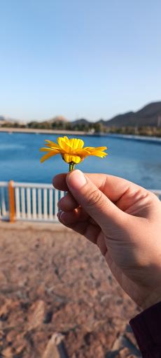 دریاچه جوان