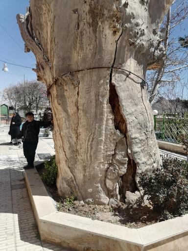 عکس امامزاده سلطان محمود