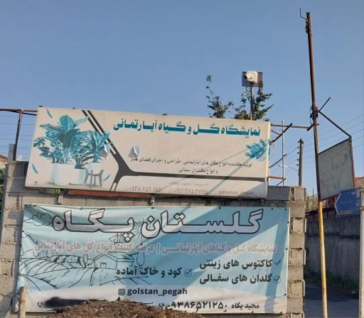 عکس گلخانه گلستان پگاه