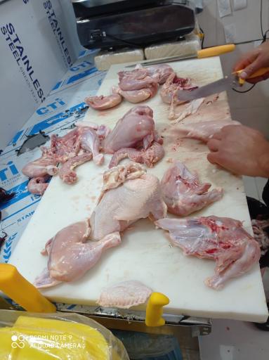 عکس مرغ نقش جهان