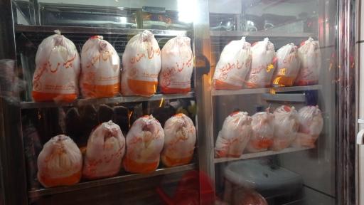 عکس مرغ نقش جهان