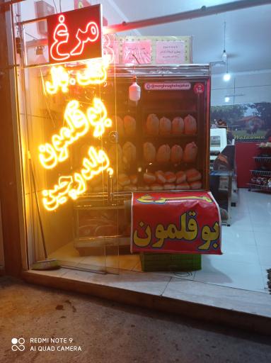 عکس مرغ نقش جهان