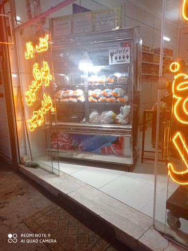 عکس مرغ نقش جهان