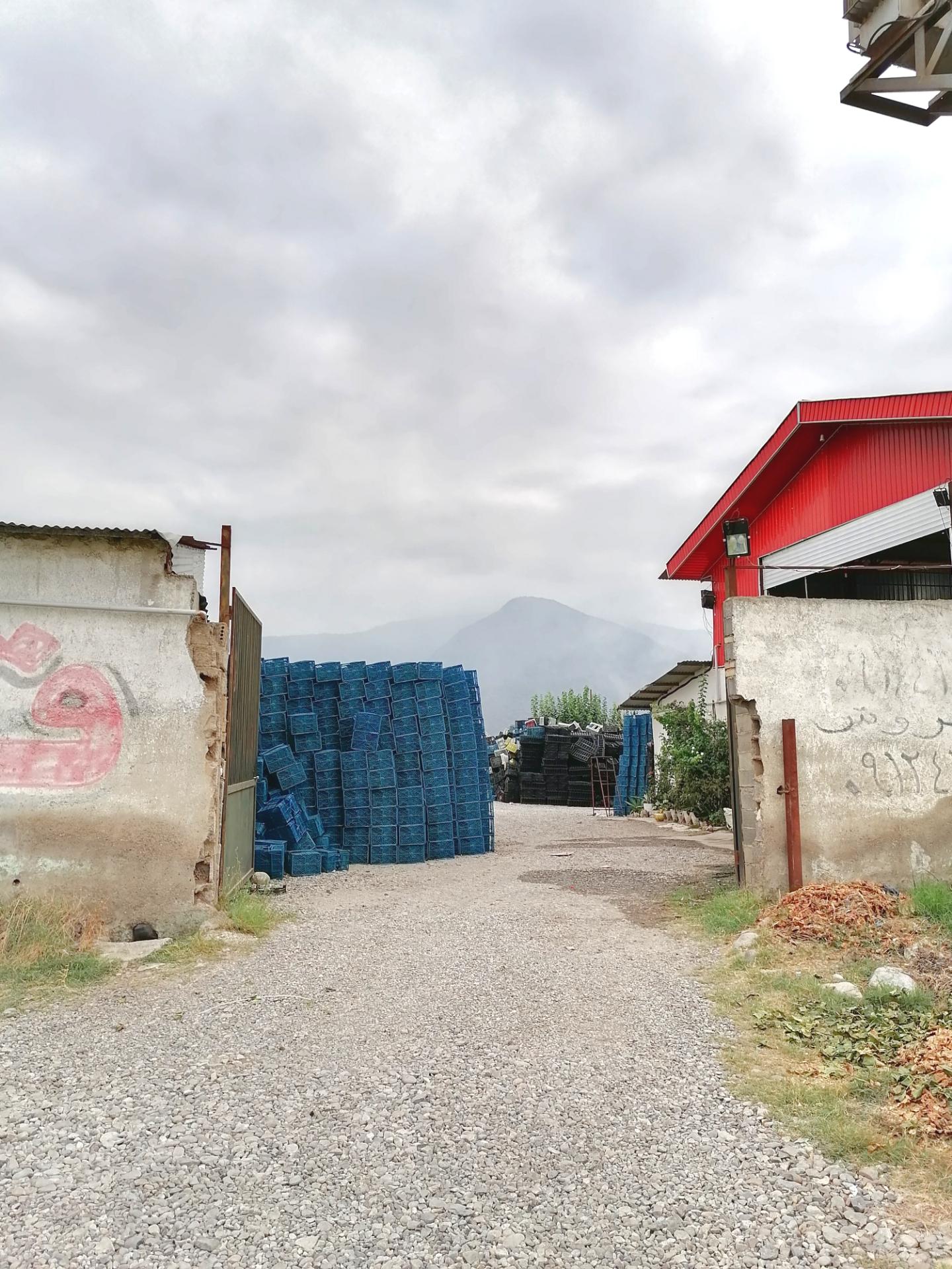 عکس سبد سازی گلستان پلاست