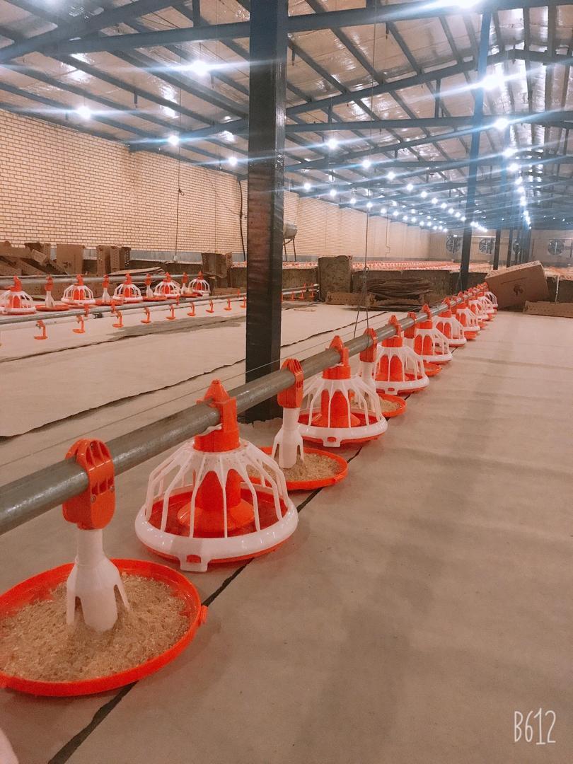 عکس تجهیزات مرغداری هما طیور