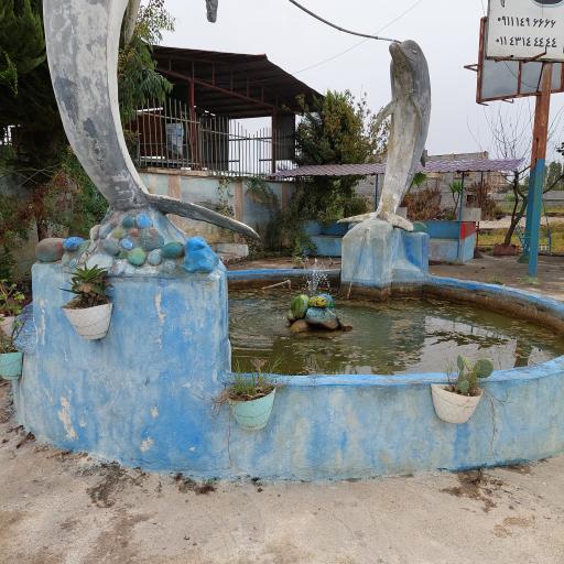 عکس پرورش ماهی 