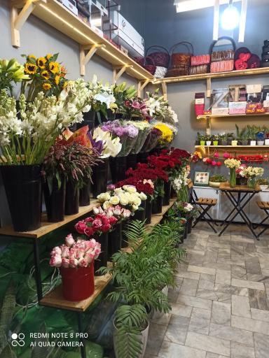 گالری گل مارچوبه