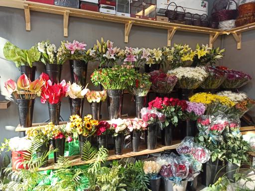 عکس گالری گل مارچوبه