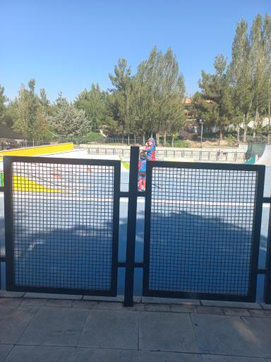 عکس زمین اسکیت