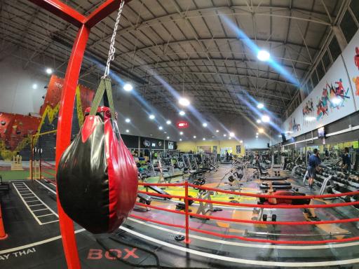 عکس مجموعه ورزشی شهر