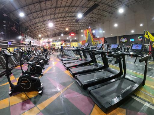 عکس مجموعه ورزشی شهر