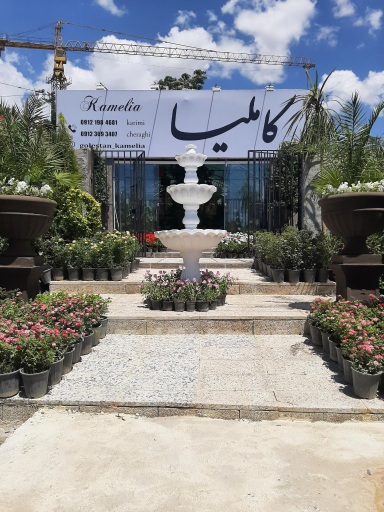 عکس گلستان کاملیا