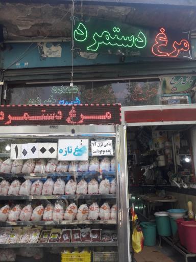 عکس مرغ دستمرد 