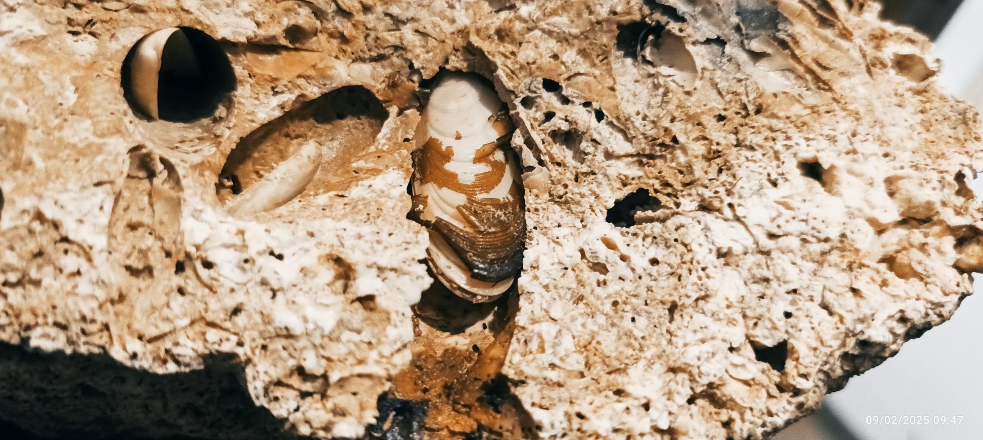 عکس موزه جانور شناسی