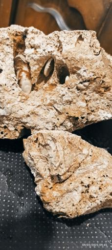 عکس موزه جانور شناسی